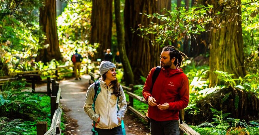 San Francisco: Muir Woods and Sausalito Half-Day Trip - A Golden Gate Bridge photo stop with weather luck