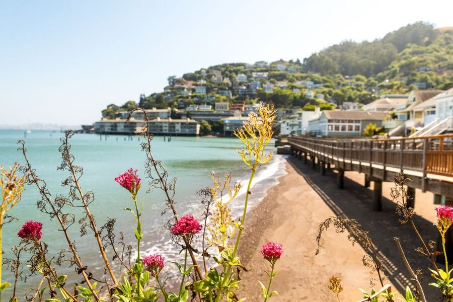 San Francisco: Muir Woods and Sausalito Half-Day Trip - Sausalito in 45 minutes