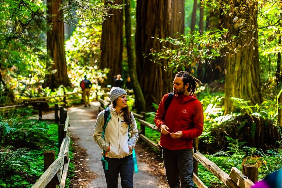 San Francisco: Muir Woods and Sausalito Half-Day Trip - The guides make the difference