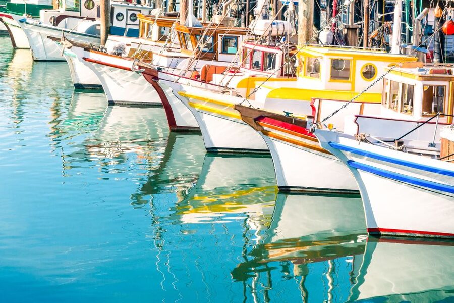 San Francisco: Muir Woods and Sausalito Half-Day Trip - Is $95 a fair price?