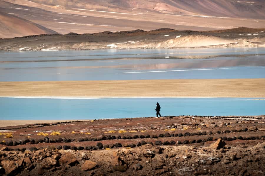 San Pedro de Atacama: Red Rocks & Altiplano Lagoons Day Trip - Altitude, fitness, and what to pack