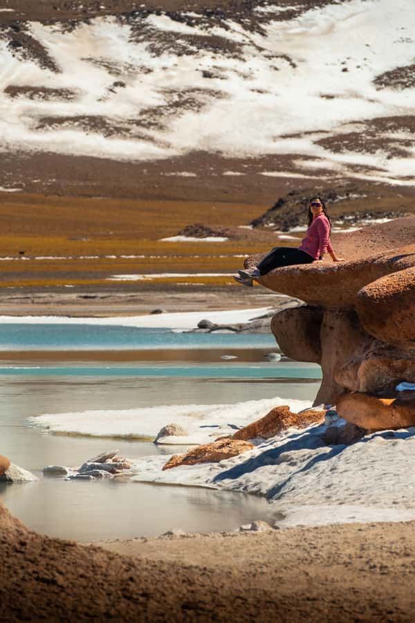 San Pedro de Atacama: Red Rocks & Altiplano Lagoons Day Trip - Why this Atacama day trip works