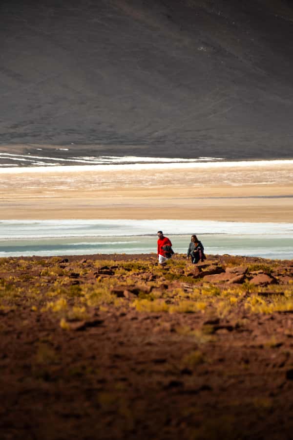 San Pedro de Atacama: Red Rocks & Altiplano Lagoons Day Trip - Chaxa Lagoon and the flamingo reserve