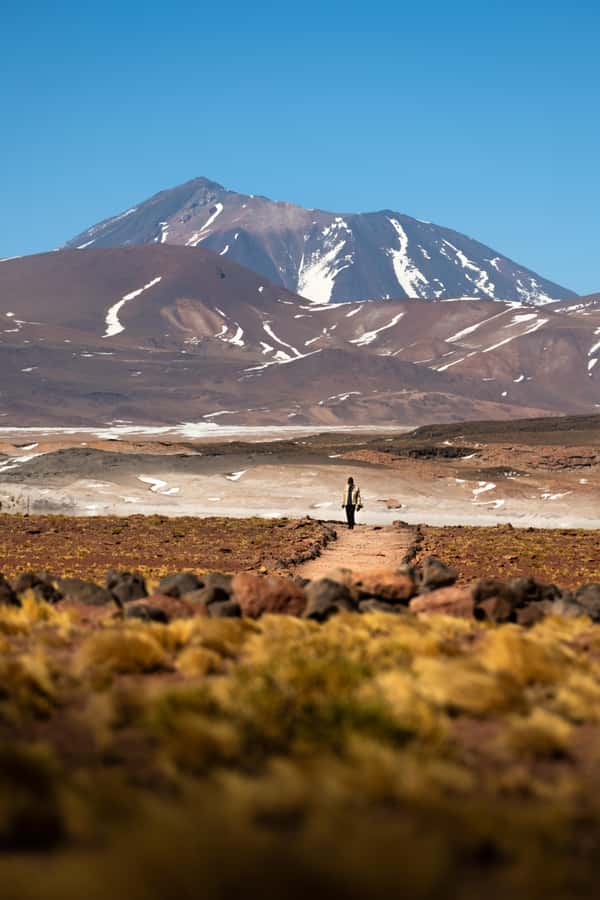 San Pedro de Atacama: Red Rocks & Altiplano Lagoons Day Trip - The secret lunch stop and the value of included food