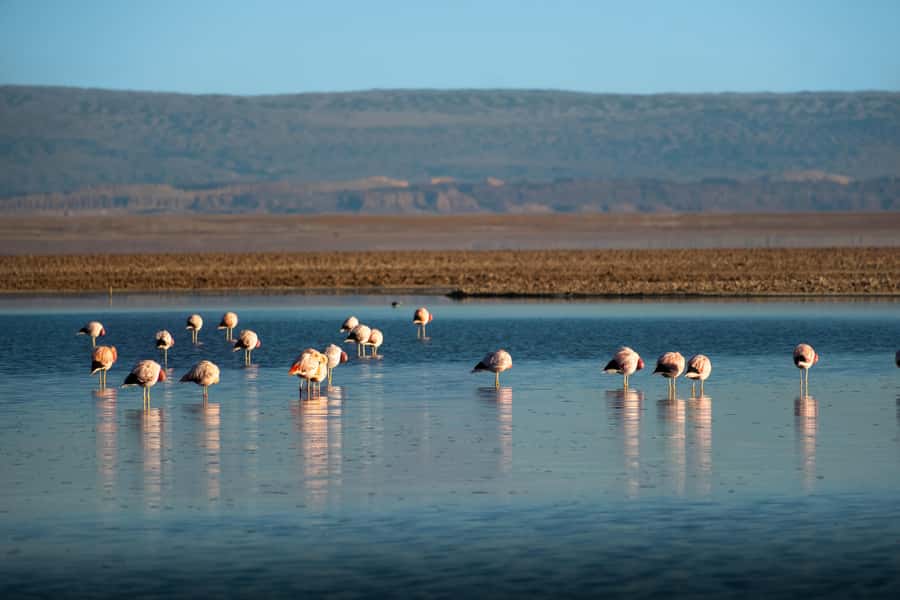 San Pedro de Atacama: Red Rocks & Altiplano Lagoons Day Trip - Socaire and the final ride back