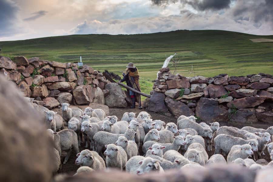 Sani Pass Day Tour from Underberg - Who will enjoy this Sani Pass trip?