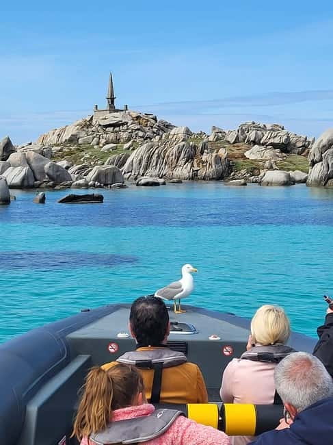 Santa-Giulia: Half-day trip, Lavezzi Islands and Bonifacio cliffs - Leaving from Santa Giulia beach