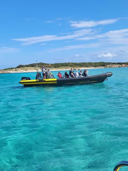 Santa-Giulia: Half-day trip, Lavezzi Islands and Bonifacio cliffs - Piantarella sets the tone