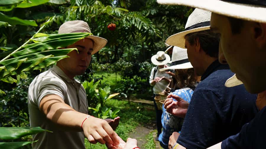 Santa Marta: Minca Coffee, Cocoa, & Waterfall Full-Day Trip - Key things to know before booking