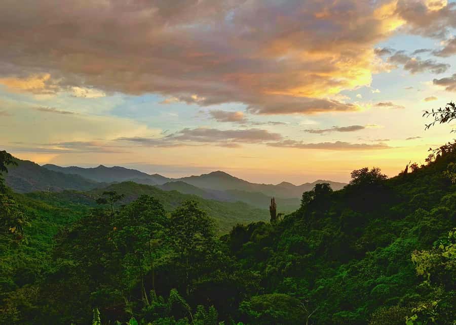 Santa Marta: Minca Coffee, Cocoa, & Waterfall Full-Day Trip - Swimming in the Minca River pools