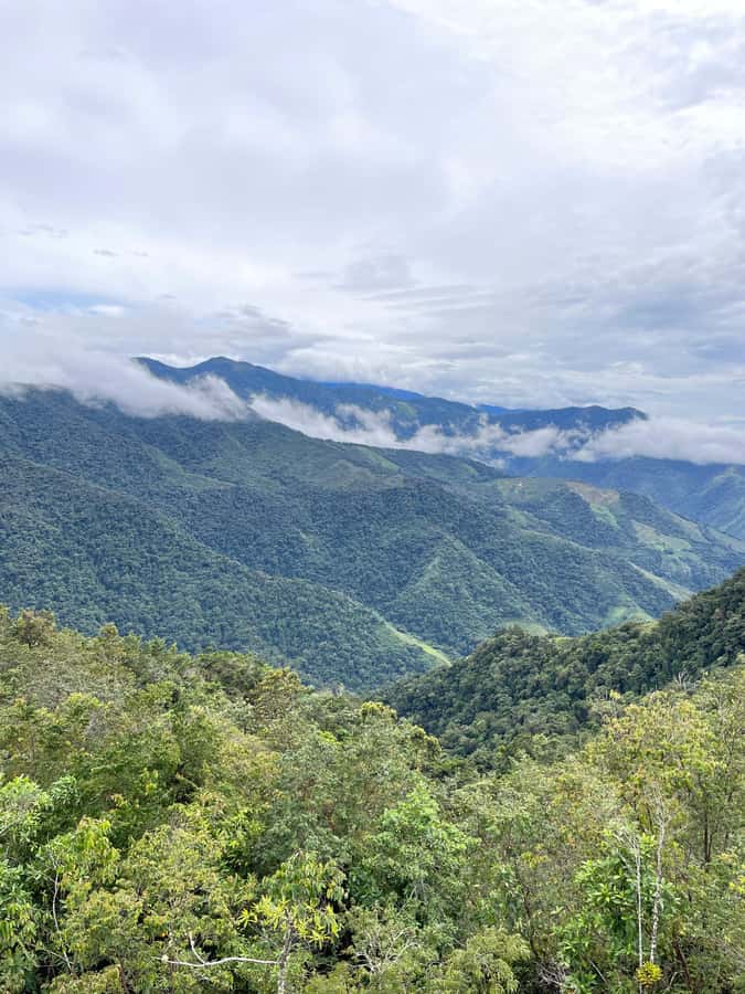Santa Marta: Minca Coffee, Cocoa, & Waterfall Full-Day Trip - A bamboo restaurant above Minca
