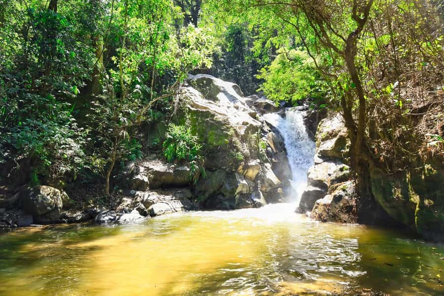 Santa Marta: Minca Coffee, Cocoa, & Waterfall Full-Day Trip - Making chocolate from local cocoa