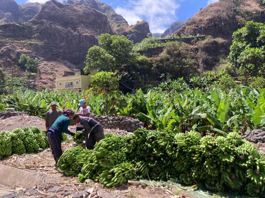 Santo Antão Highlights: Day Trip by Car with Ferry from SV - Why this is a smart way to see Santo Antão