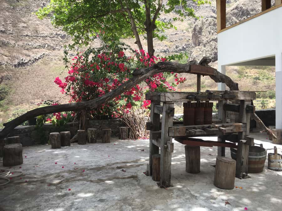 Santo Antão Highlights: Day Trip by Car with Ferry from SV - Cova de Paúl, Pico da Cruz, and Delgadinho