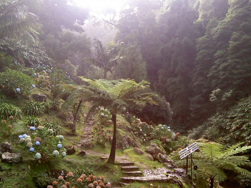 São Miguel: Nordeste, Cliffs & Waterfall Day Trip with Lunch - Key points to know before you book