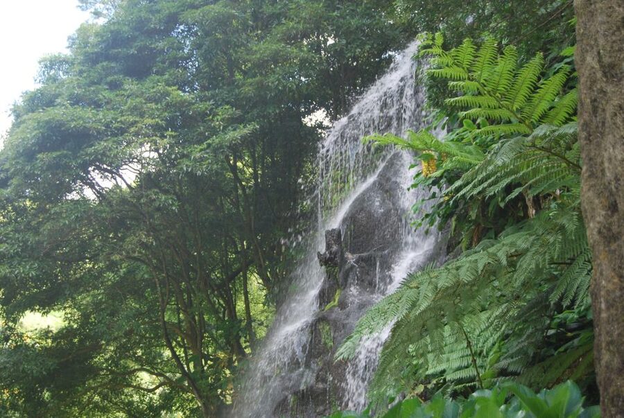 São Miguel: Nordeste, Cliffs & Waterfall Day Trip with Lunch - Salto da Farinha and the first waterfall