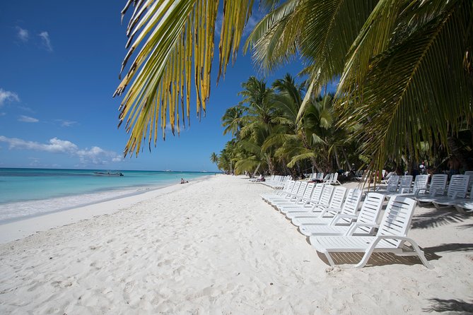 Saona Island Day Trip From Punta Cana with Lunch and Open Bar - What the $82 Saona Island trip really offers