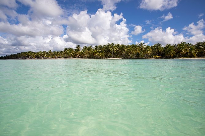 Saona Island Day Trip From Punta Cana with Lunch and Open Bar - Buffet lunch and the open bar