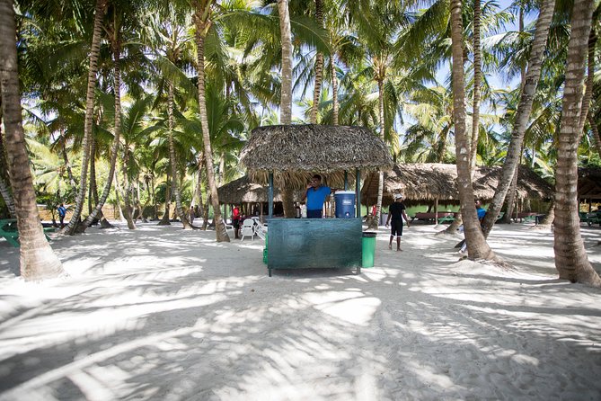 Saona Island Day Trip From Punta Cana with Lunch and Open Bar - How to make the day easier