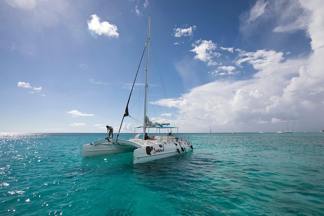 Saona Island Day Trip From Punta Cana with Lunch and Open Bar - Who should book this tour?