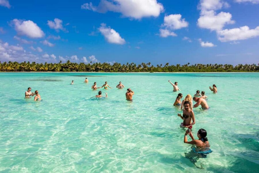 Saona Island from Punta Cana Day Trip with Open Bar - Key points at a glance