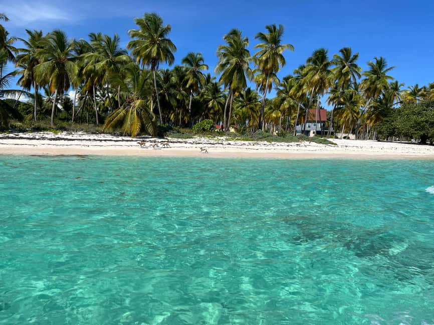 Saona Island: Small Group Virgin Beaches Cruise Day Trip - Why the smaller Saona boat matters