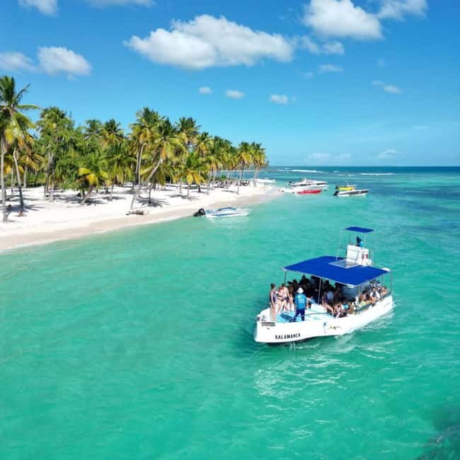 Saona Island: Small Group Virgin Beaches Cruise Day Trip - The turtle nursery and the limits of wildlife encounters