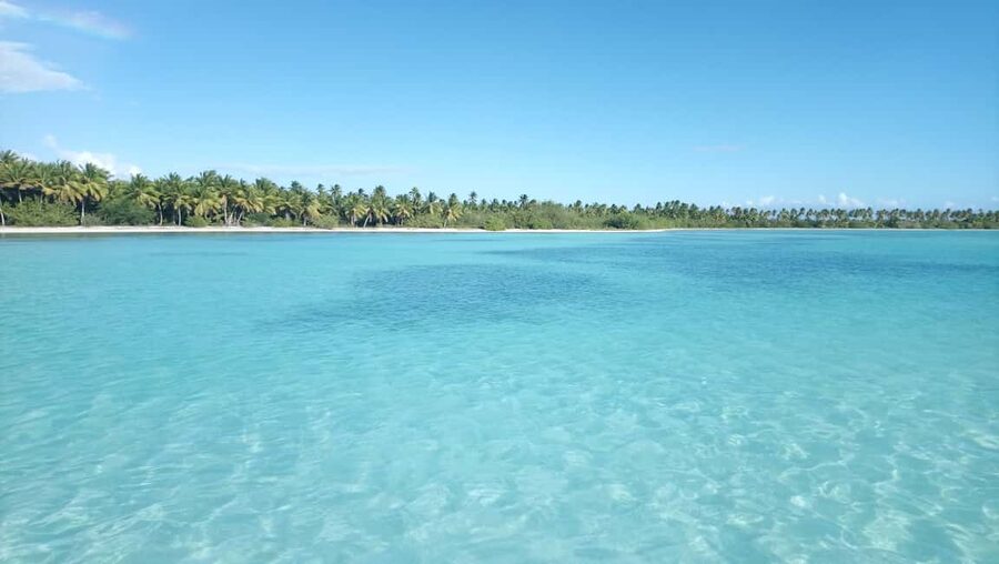 Saona Island: Small Group Virgin Beaches Cruise Day Trip - Canto de la Playa gives you the best beach time