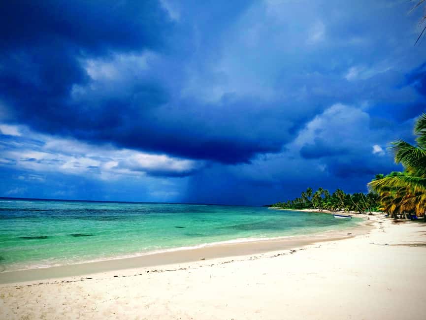 Saona Island: Small Group Virgin Beaches Cruise Day Trip - The Natural Pool and starfish rules