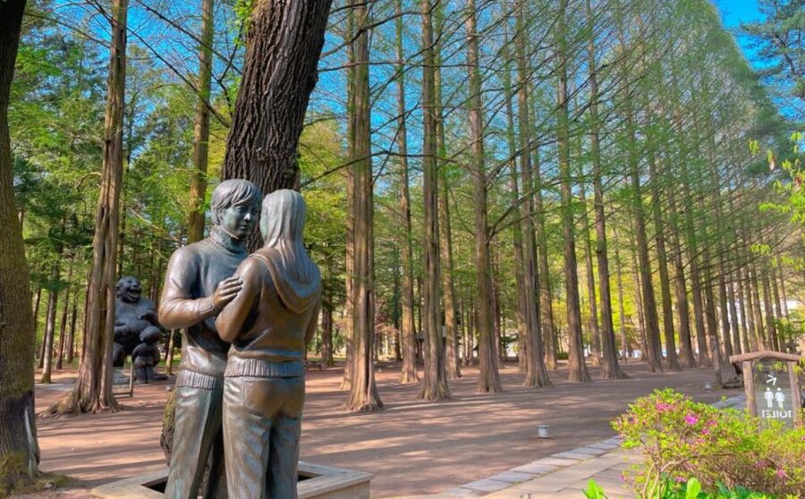 Seoul: Gangwon-do Day Trip with Alpaca World & Nami Island - Lunch with the group on Nami Island