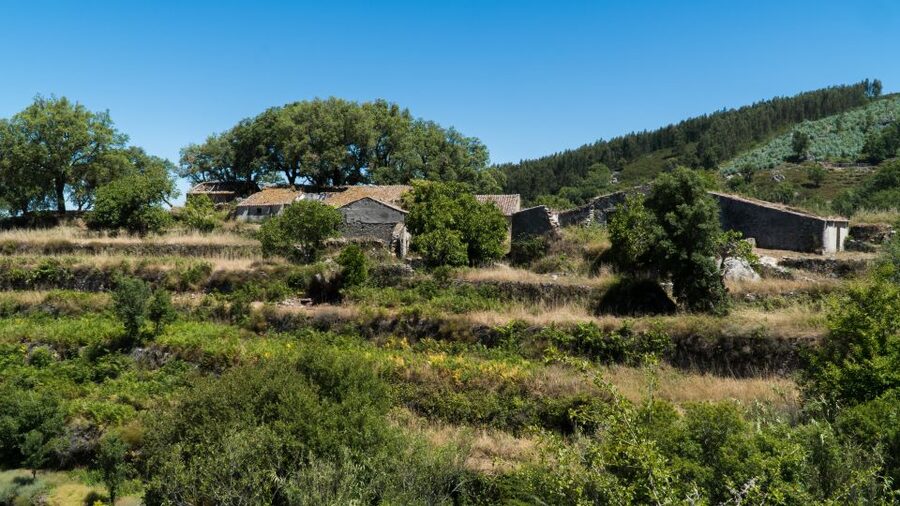 Serra de Monchique & Bravura Half Day Off-Road Day Trip - The 15-minute walk beside the lake