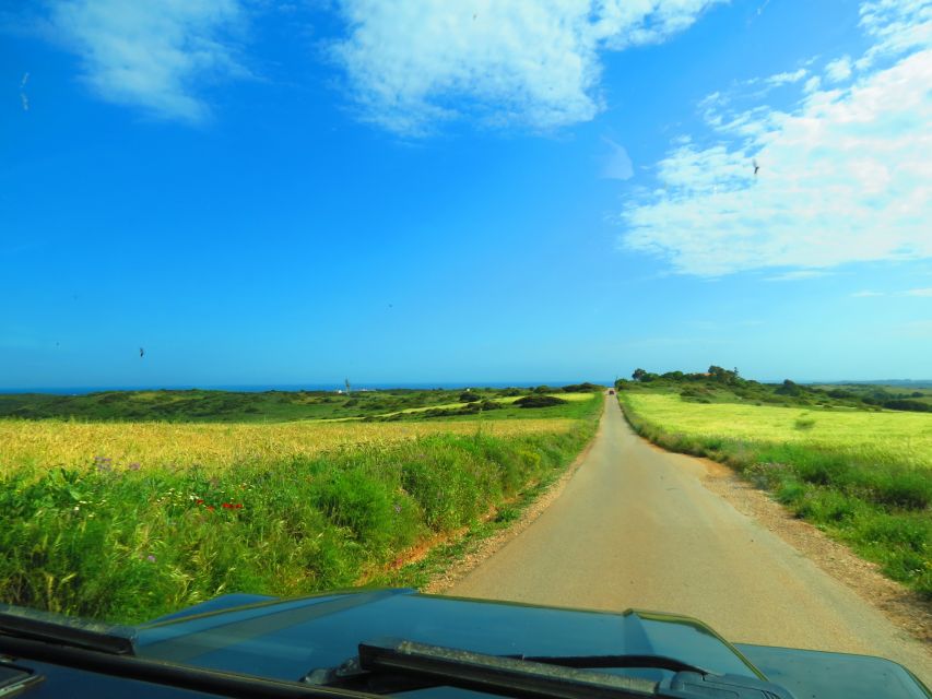 Serra de Monchique & Bravura Half Day Off-Road Day Trip - Climbing toward the Algarve’s highest viewpoint