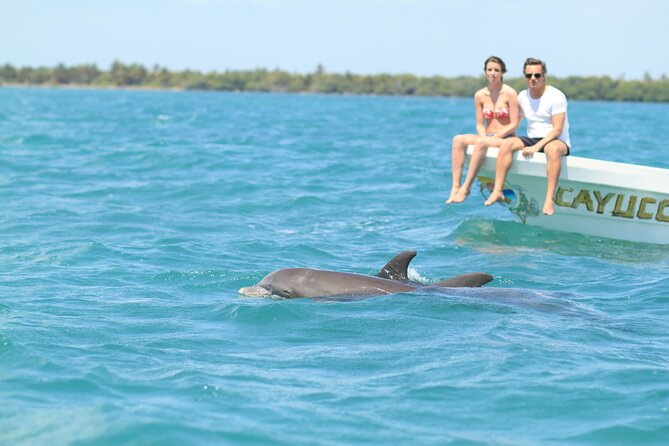 Sian Ka'an Adventure Full Day Trip to Punta Allen - Key details before you book