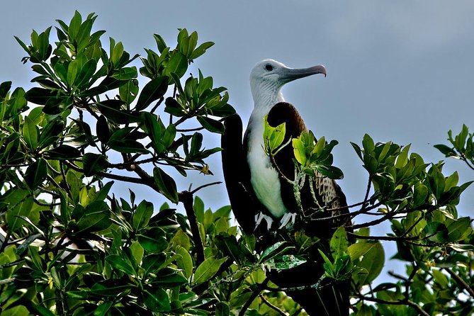 Sian Ka'an Adventure Full Day Trip to Punta Allen - Who will enjoy this Sian Ka’an trip most?