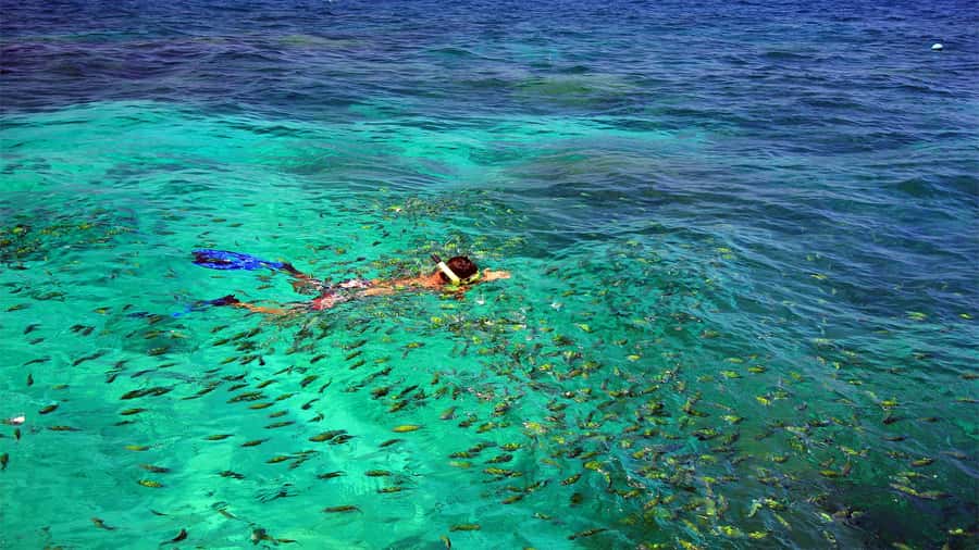 Similan Islands Early-Bird Tour From Phuket and Khao Lak! - Why the early start is worth the alarm