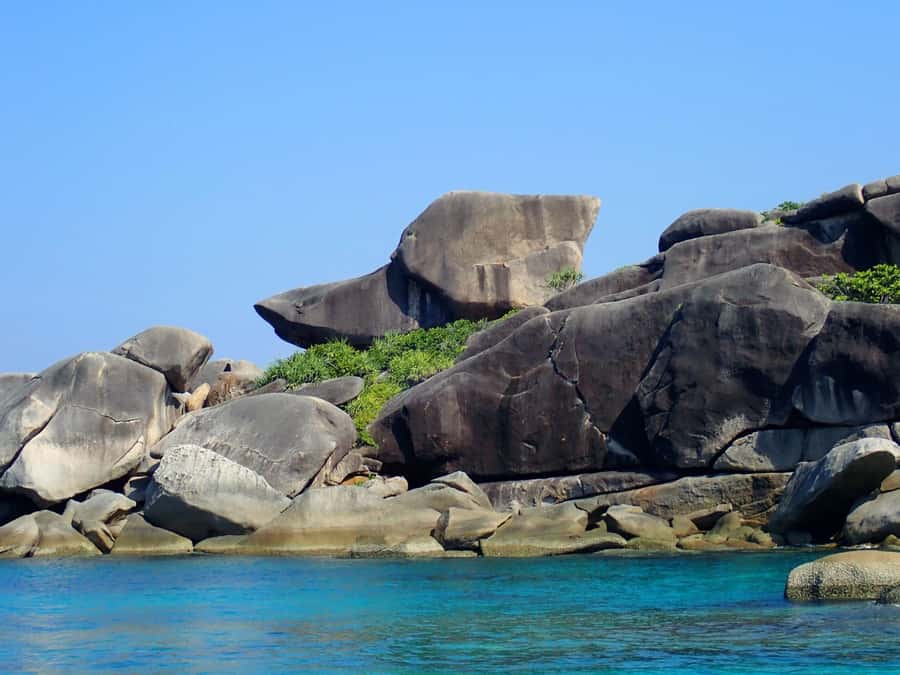 Similan Islands Early-Bird Tour From Phuket and Khao Lak! - Food, guides, and the value of the $125 price
