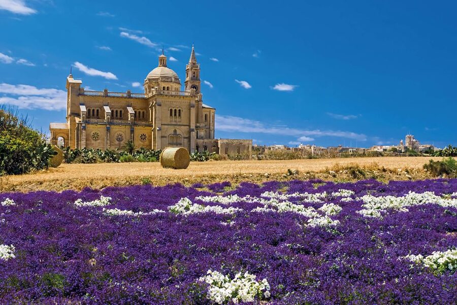 Sliema or St. Paul's Bay: Best of Gozo and Comino Day Trip - The optional caves and Crystal Lagoon boat ride