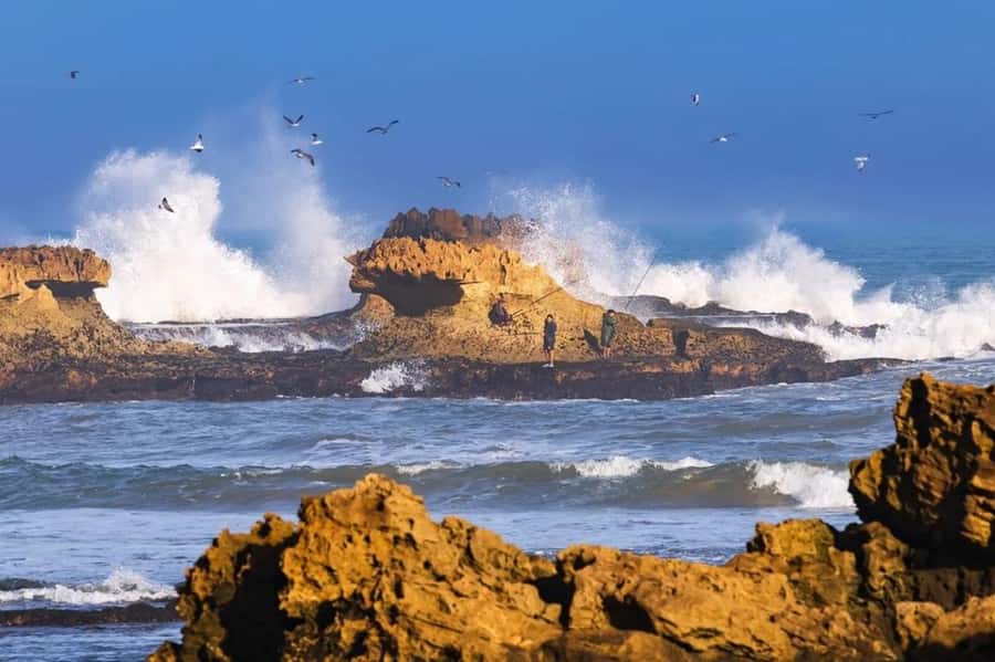 Small-Group Day Trip from Marrakech to Essaouira Mogador - Leaving Marrakech early for the Atlantic coast
