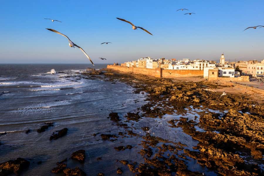 Small-Group Day Trip from Marrakech to Essaouira Mogador - Port, ramparts, and La Skala