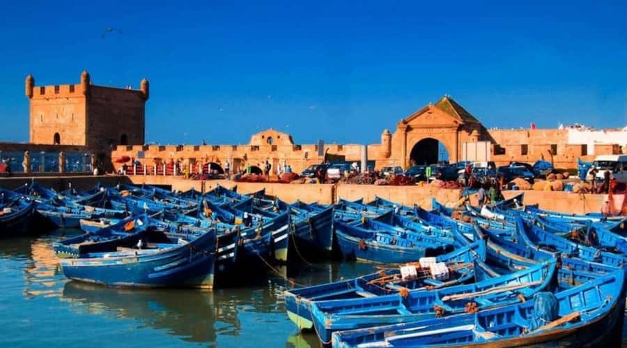 Small-Group Day Trip from Marrakech to Essaouira Mogador - Seeing argan oil made by a women’s cooperative
