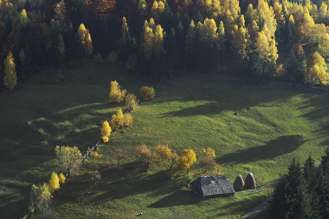 Small-Group Day Trip in Romanian Authentic Mountain Villages from Brasov - Lunch at the park’s oldest guesthouse