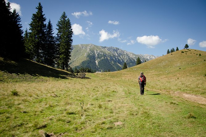 Small-Group Day Trip in Romanian Authentic Mountain Villages from Brasov - What the guides add to the day