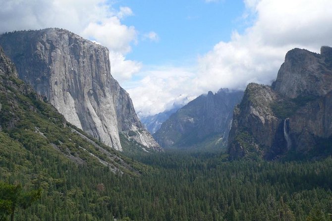 Small Group Yosemite and Giant Sequoias Day Trip from San Francisco - Tuolumne Grove: ancient trees and a walking commitment