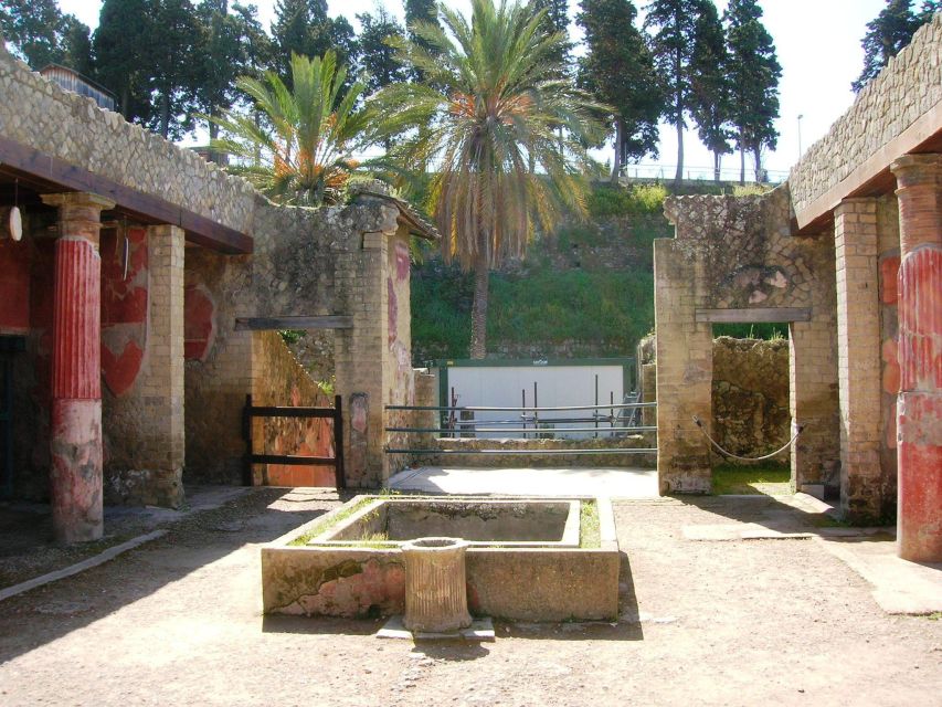 Sorrento: Pompeii & Herculaneum Day Trip Entry and Lunch - Pompeii: big, crowded, and worth a guided route