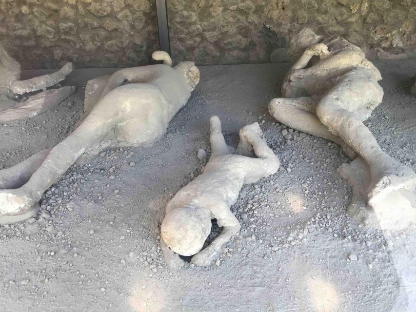Sorrento: Pompeii & Herculaneum Day Trip Entry and Lunch - How to handle the fast pace