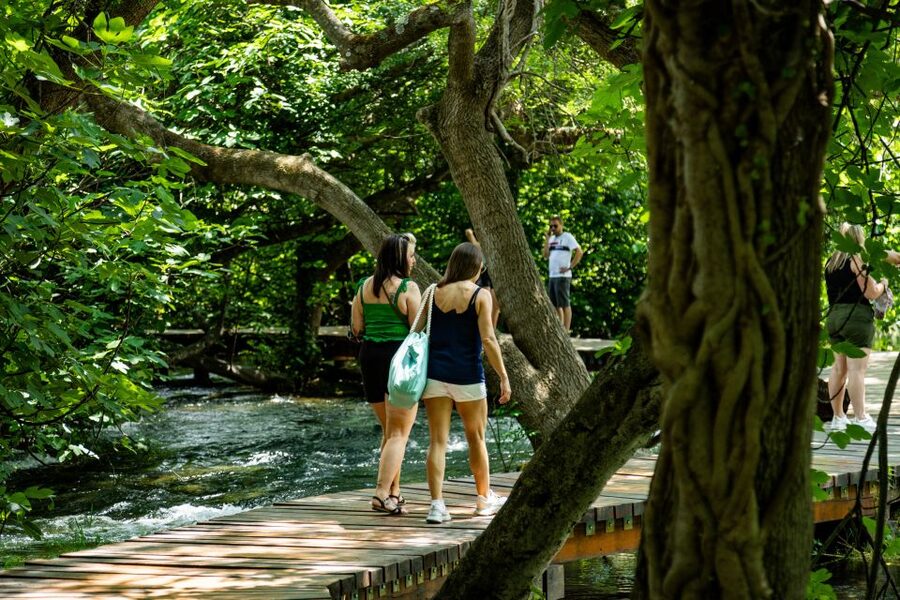 Split: Krka National Park Day Trip with Boat Ride & Swimming - The 90-minute ride from Split