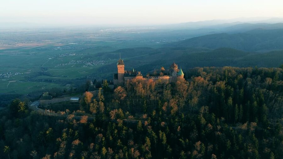 Strasbourg: Full-Day Small Group Tour to Colmar & Riquewihr - The right kind of independence