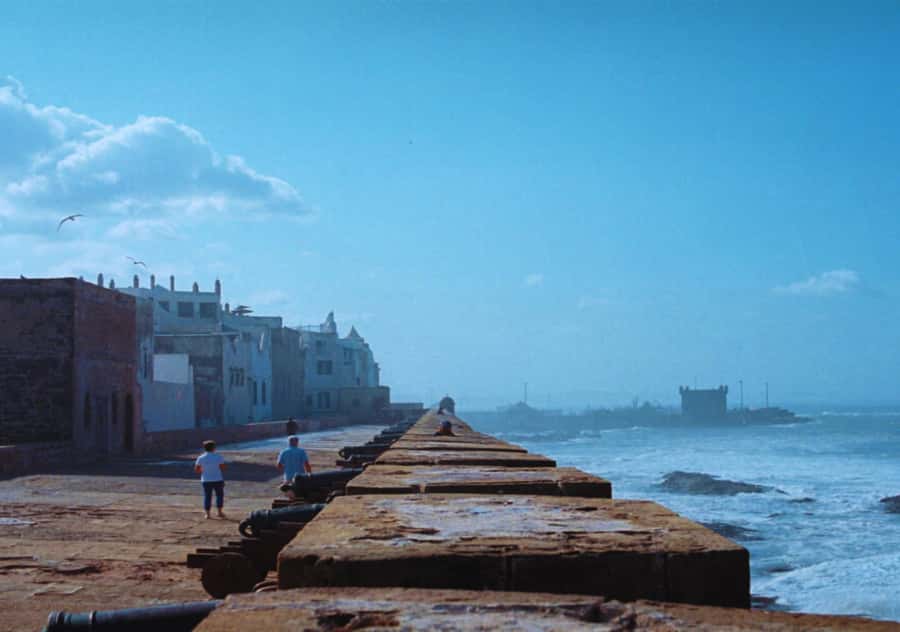 Surf Training and Lunch on Essaouira Day Trip from Marrakech - Exploring the medina, port, and beach