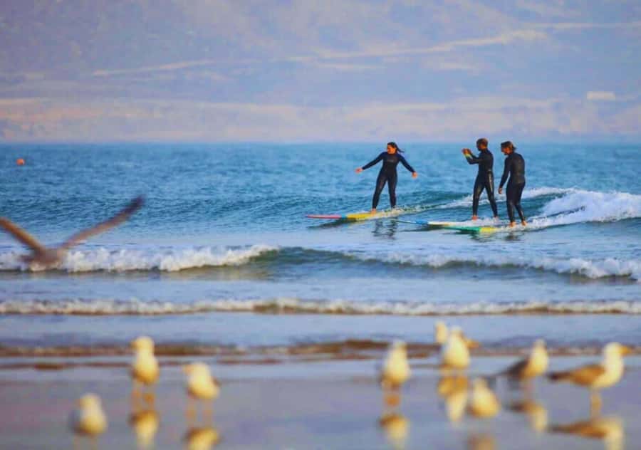 Surf Training and Lunch on Essaouira Day Trip from Marrakech - What the $70 price really covers