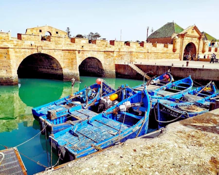 Surf Training and Lunch on Essaouira Day Trip from Marrakech - Who should book this Essaouira surf trip